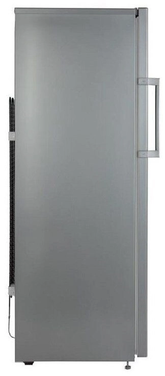 Морозильник Beko RFSK266T01G