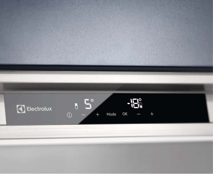 Холодильник Electrolux RNS9TE19S