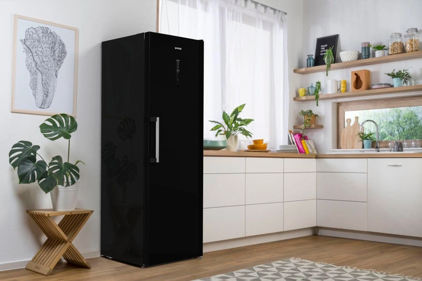 Морозильник Gorenje FN619EABK6