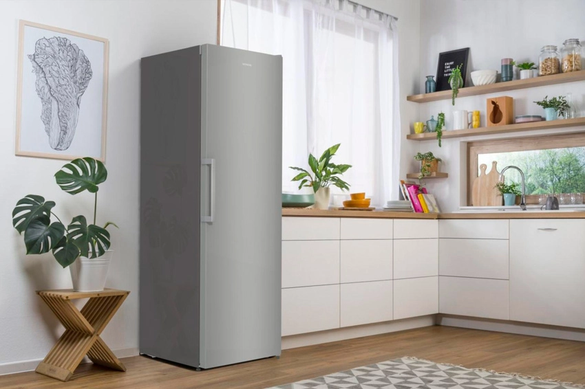 Морозильник Gorenje FN619FES5