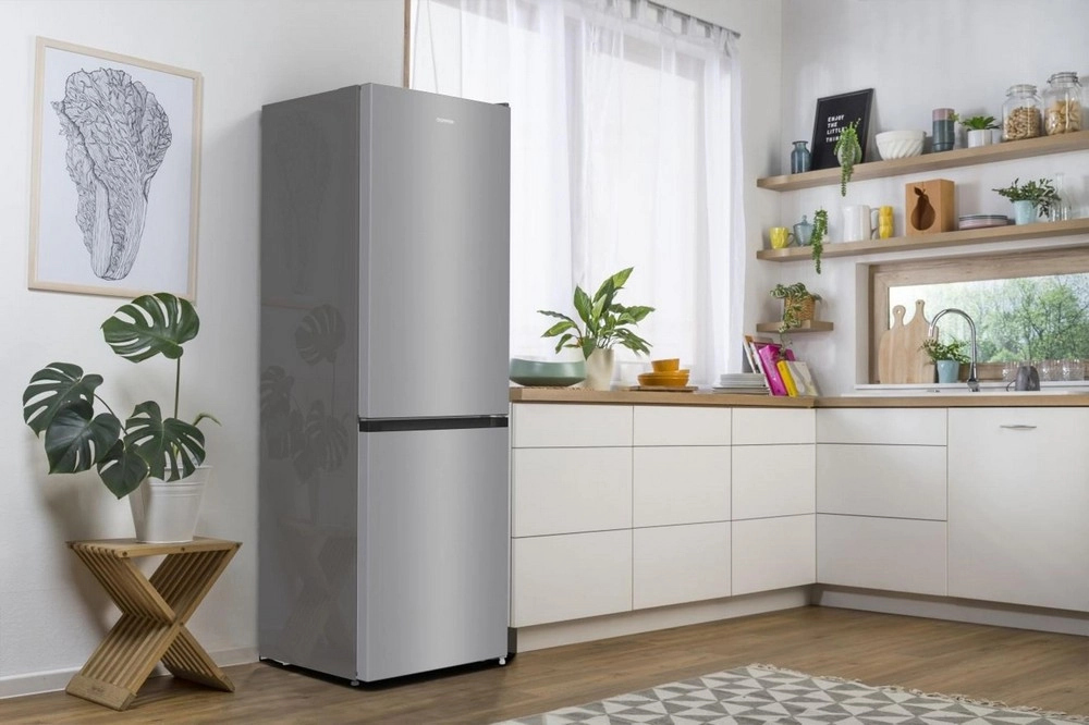 Холодильник Gorenje RK6191ES4