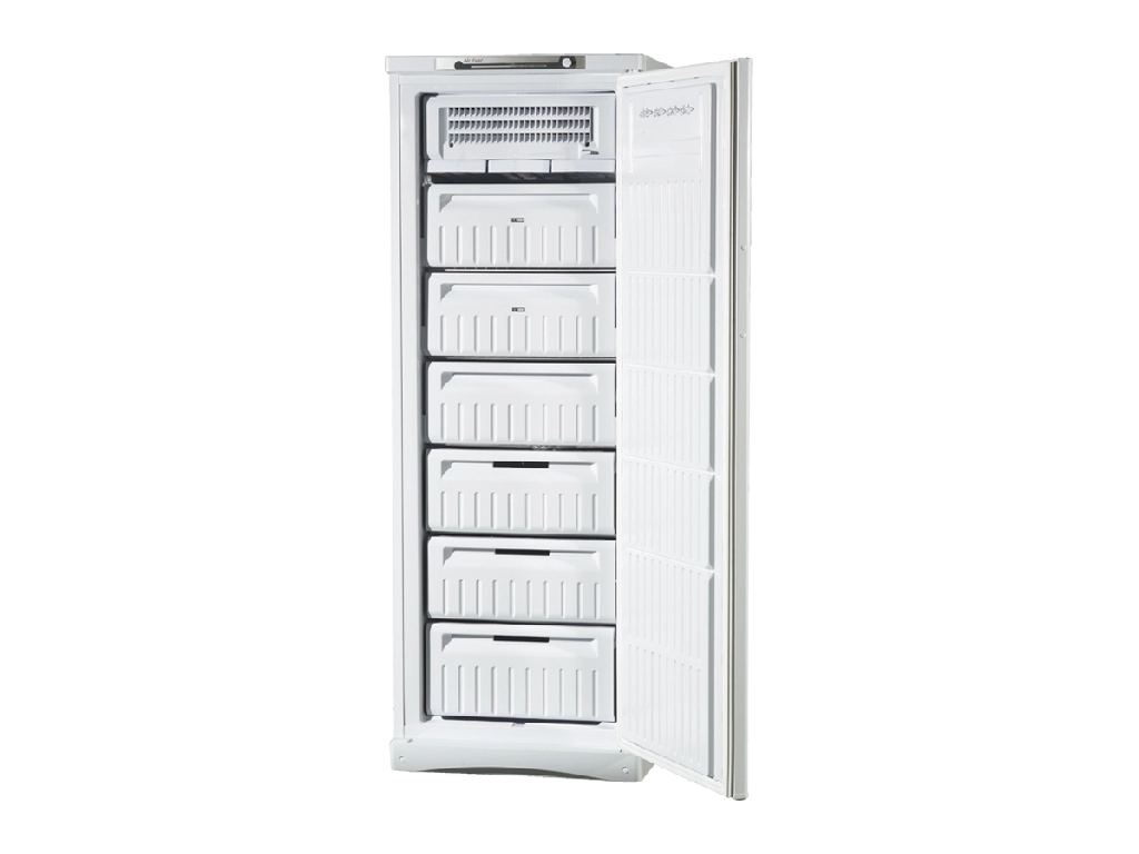 Морозильник Indesit SFR 167