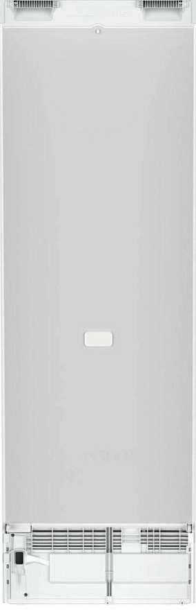 Однокамерный холодильник Liebherr RBe 5220 Plus BioFresh