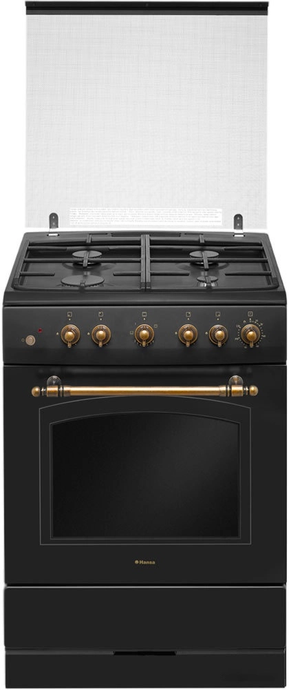 Кухонная плита Hansa FCGA62109