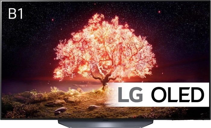 Телевизор LG OLED55B1RLA