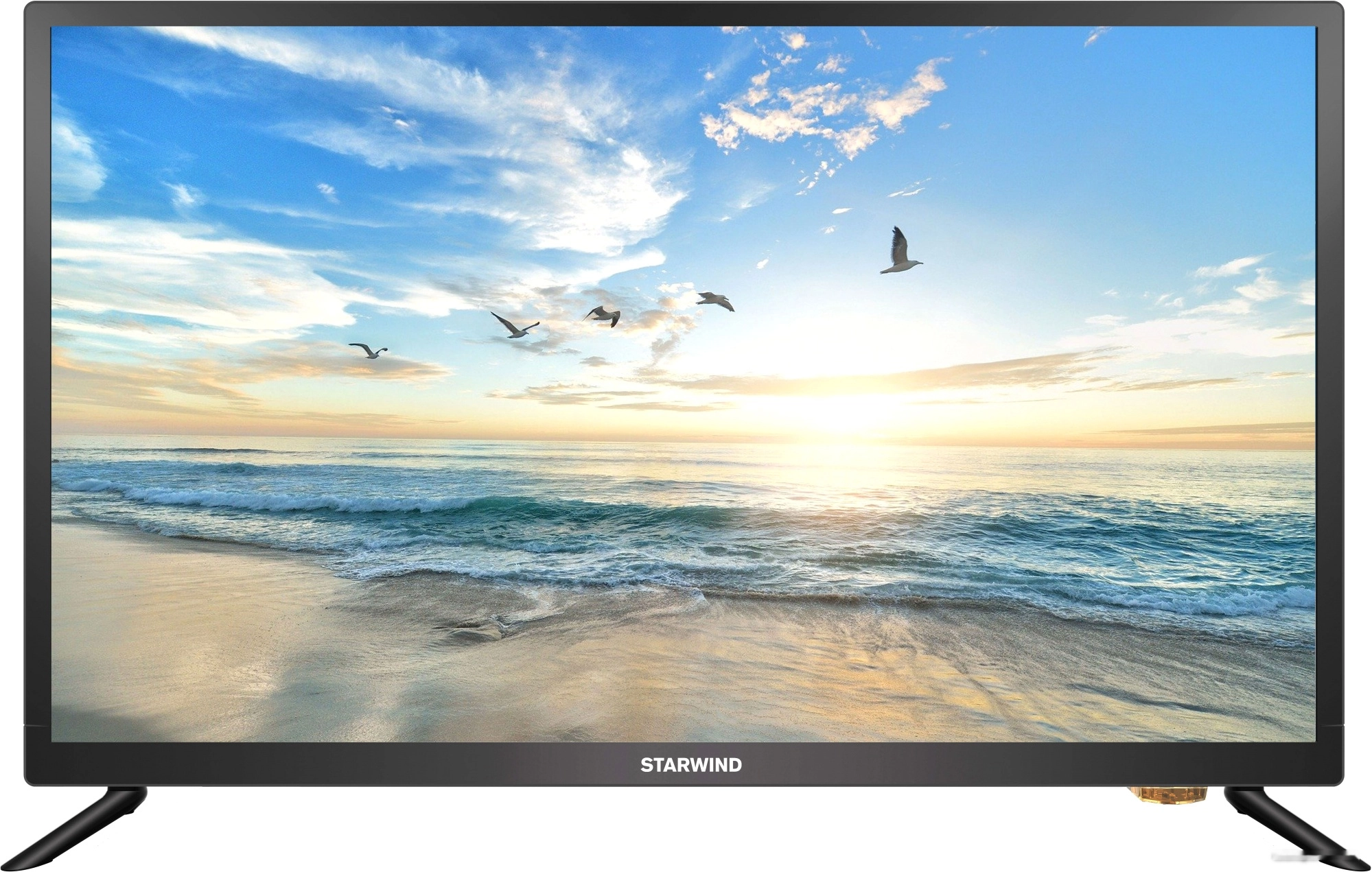 Телевизор StarWind SW-LED24BB201