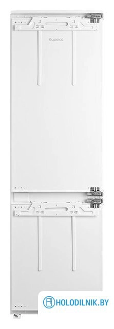 BI 300