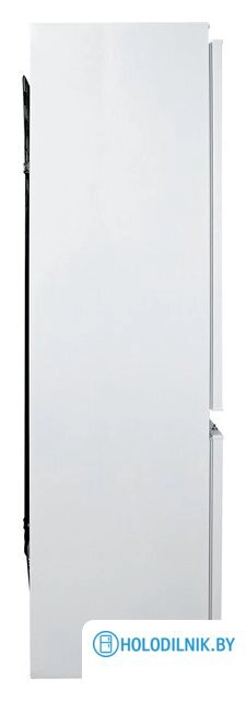 EXR-203