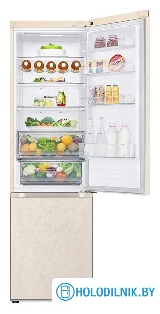 Холодильник LG DoorCooling+ GC-B509FEMW