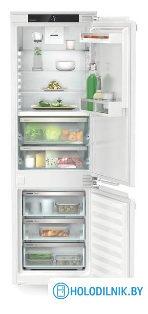 ICBNdi 5123 Plus BioFresh NoFrost 5123-22001
