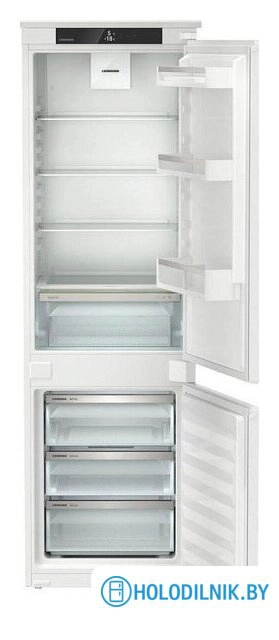ICf 5103 Pure