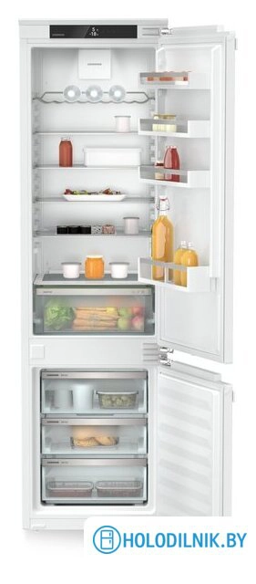 ICNd 5603 Pure NoFrost