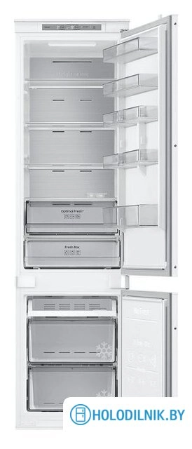 Холодильник Samsung BRB80F30BES0EO