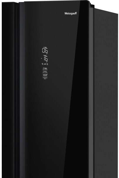 WCD 450 Inox Glass NoFrost Inverter