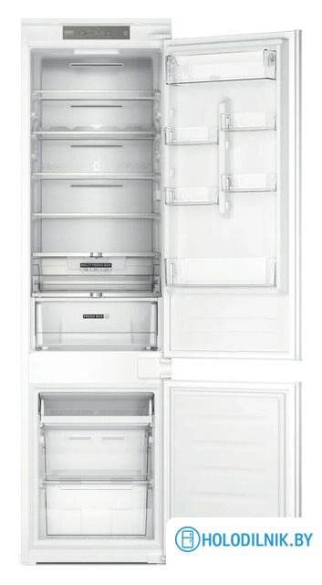 WHC20 T352