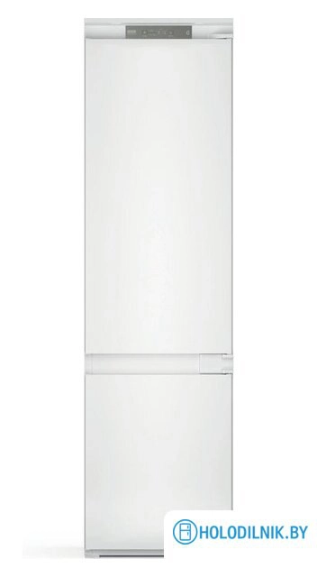 WHC20 T352