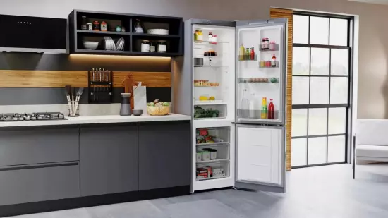 Холодильник с морозильником Hotpoint-Ariston HT 4200 S