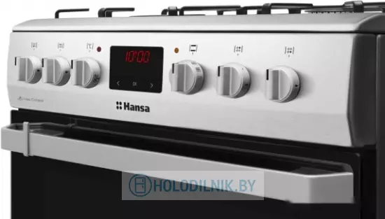 Кухонная плита Hansa FCMX68209